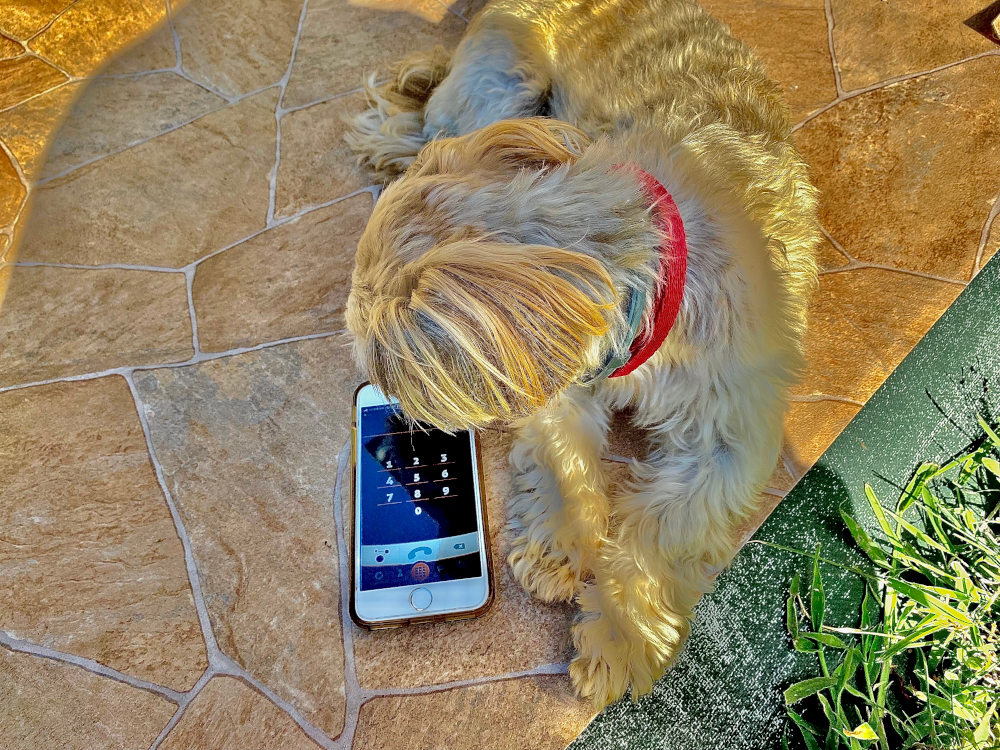 Fotópályázatot hirdetünk!